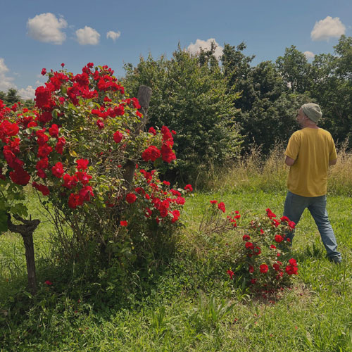 Jacopo Battista med en blommande buske.