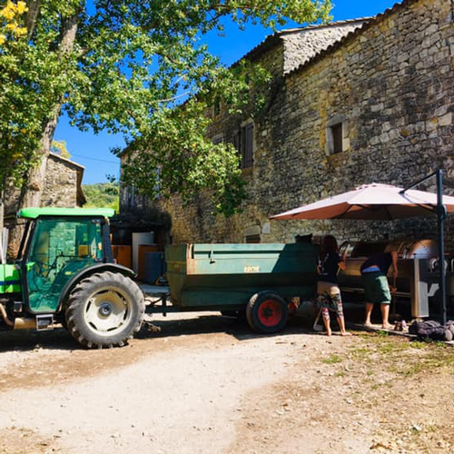 Gård med traktor och personer som tillverkar vin